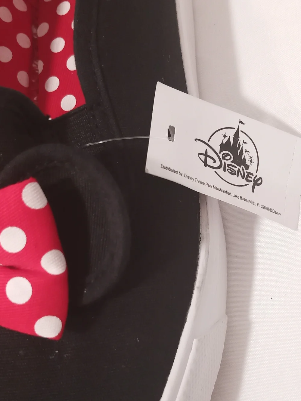 Disney description these